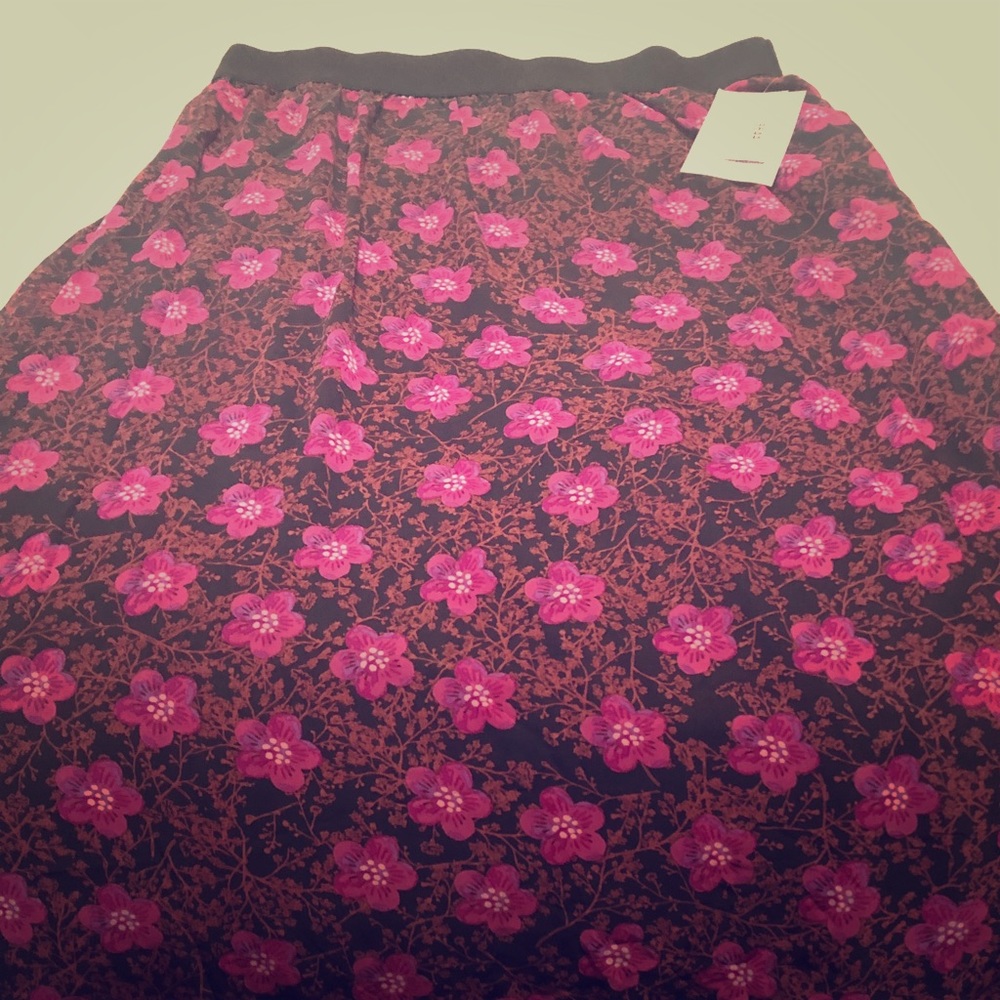 NWT LulaRoe Lucy L